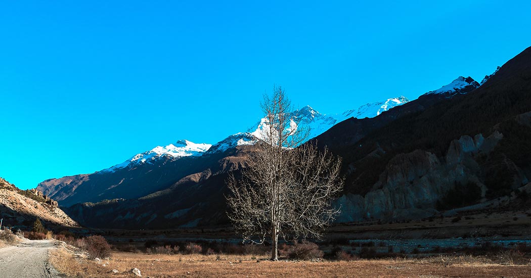 How to Deal with Altitude Sickness on the Annapurna Circuit